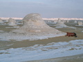 &nbsp;

Sahara nieopodal oazy
Al-Bahrijja w Egipcie zbudowana jest z białej kredy – odmiany wapienia. Skała
ta zawiera liczne skamieniałości, np. belemnity. 

Fot. Rafał Szaniawski

