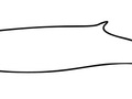 Wielkość wala butlonosego w porównaniu do ciała człowieka
Rys. Chris_huh
źródło: http://en.wikipedia.org/wiki/File:Northern_bottlenose_whale_size.svg