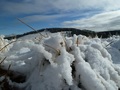 Biel śniegu (pod Turbaczem). Fot. Anna Ostrowska