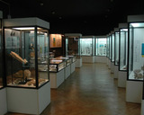Muzeum Geologiczne ING PAN w Krakowie