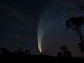 Kometa McNaught (widoczna w 2007 roku). Zdj. wikipedia.pl (Creative Commons)