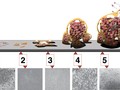 

Pięć etapów powstawania biofilmu: 1. początkowe przywiązanie; 2.
nieodwracalne przywiązanie; 3. dojrzewanie I; 4. dojrzewanie II; 5.
rozproszenie. Każdemu etapowi powstawania biofilmu na schemacie odpowiada
mikrofotografia powstającego biofilmu P. aeruginosa. Wszystkie mikrofotografie
są przedstawione w tej samej skali (fot. D.Davis/Wikimedia)

